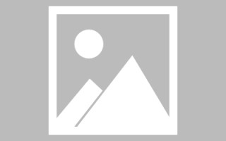 六盘水网页设计翻译网站推荐（网页翻译接口）